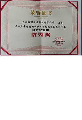 公司榮譽(yù)證書